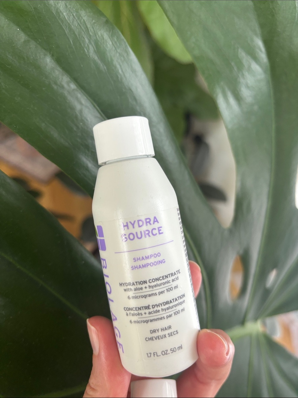 Bolage Hydra Source Hydrating Shampoo Hydration Concentrate Aloe Hyaluronic Acid